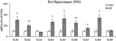 Persistent Adult Neuroimmune Activation and Loss of Hippocampal Neurogenesis Following Adolescent Ethanol Exposure: Blockade by Exercise and the Anti-inflammatory Drug Indomethacin